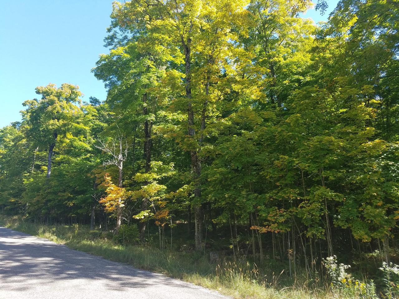 On Deer Path, Unit 9 ACRES Phelps, WI 54554 - Photo 10 of 15 Gallery Image 10