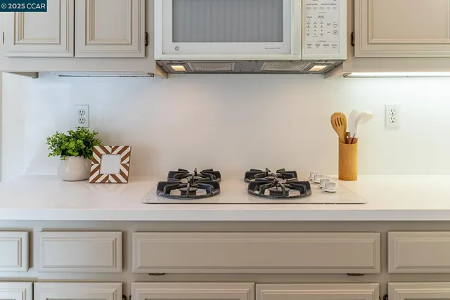 a room with furniture and potted plant