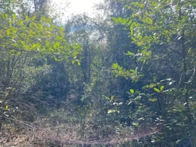 $49,999 | 2619 Oak Ridge Road West, Tallahassee, FL 32305