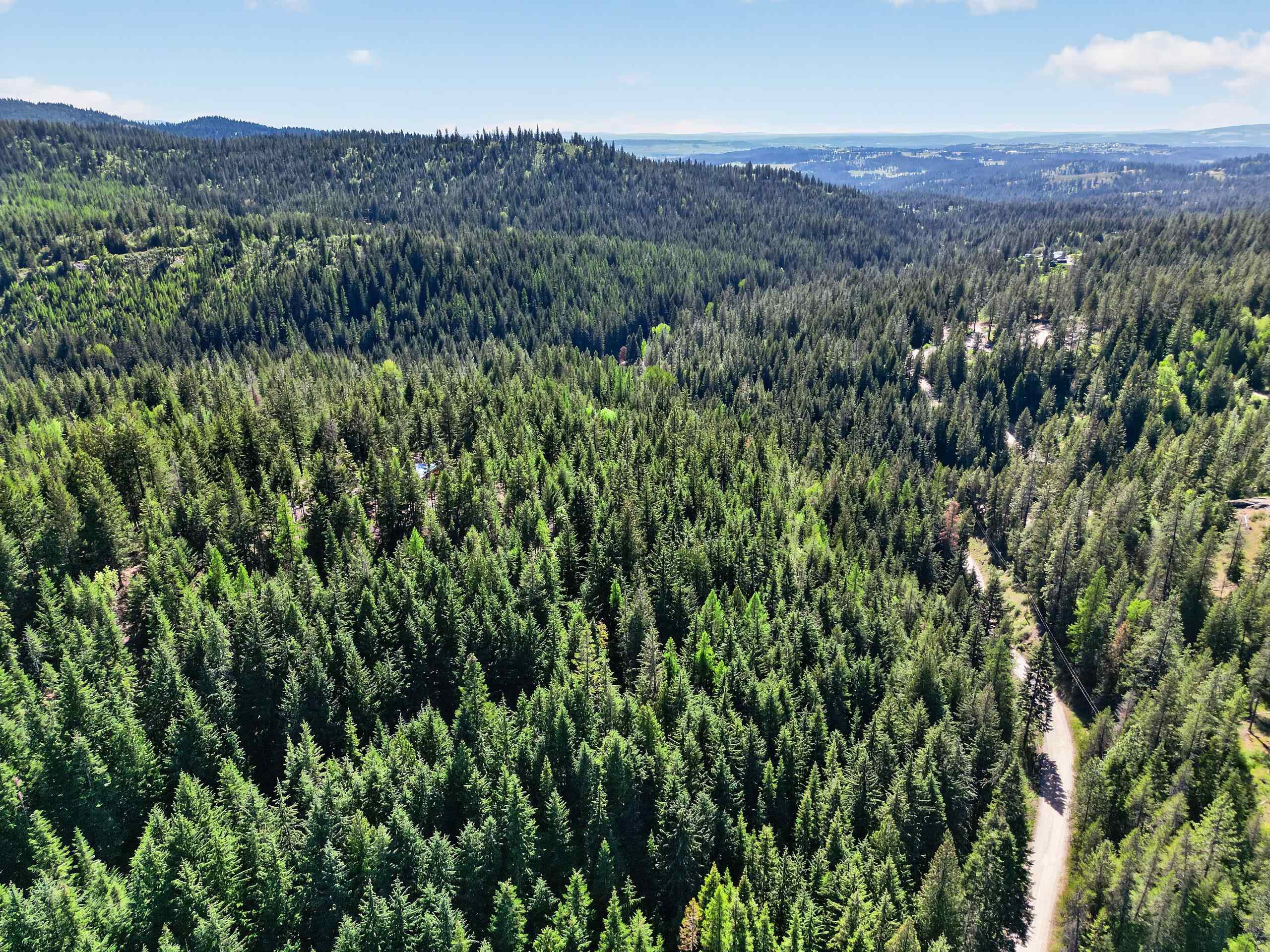19202 East Elliot Road Mead, WA 99021 - Photo 46 of 50