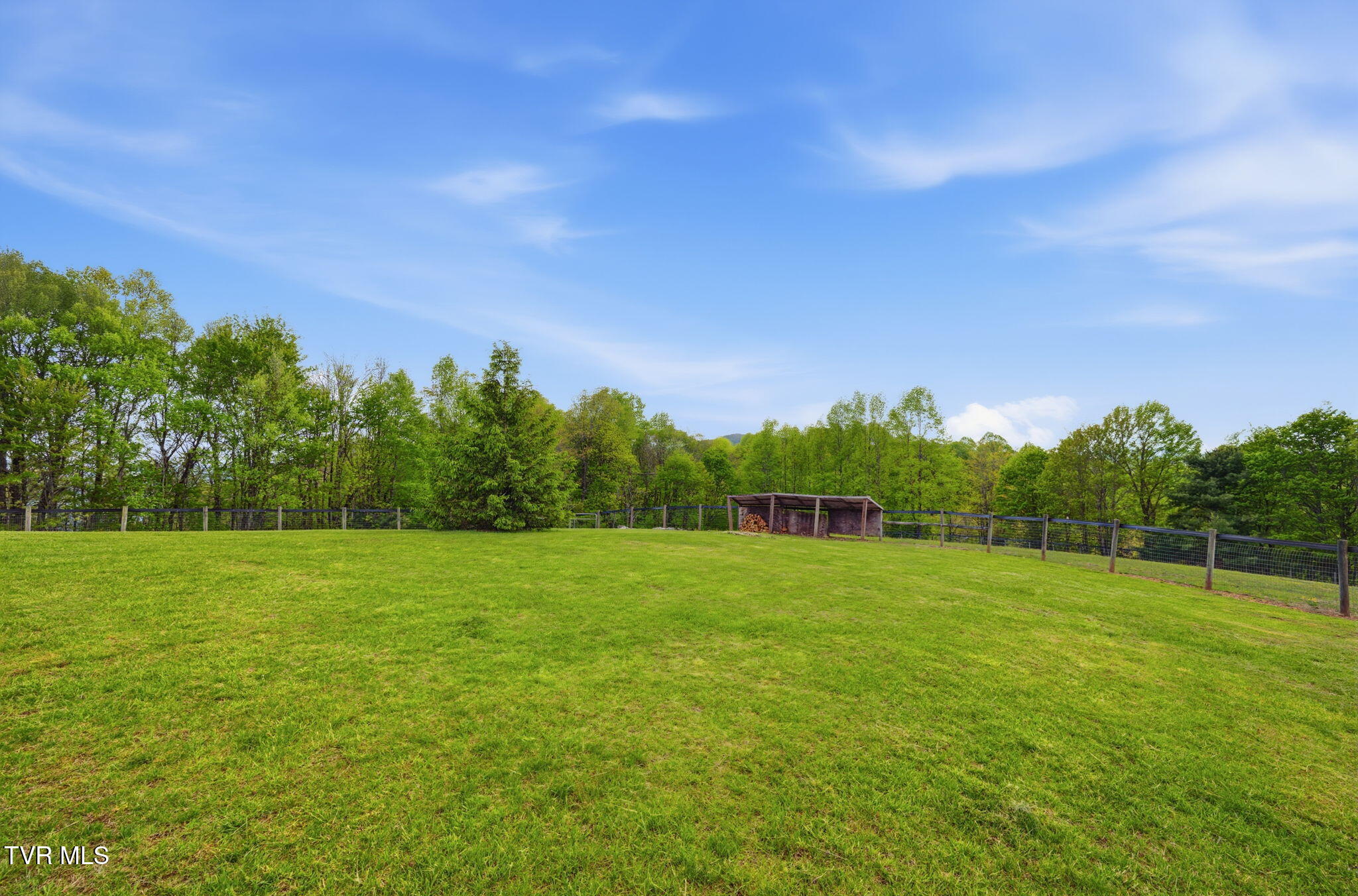 2835 Cross Mountain Road Shady Valley, TN 37688 - Photo 94 of 104 039