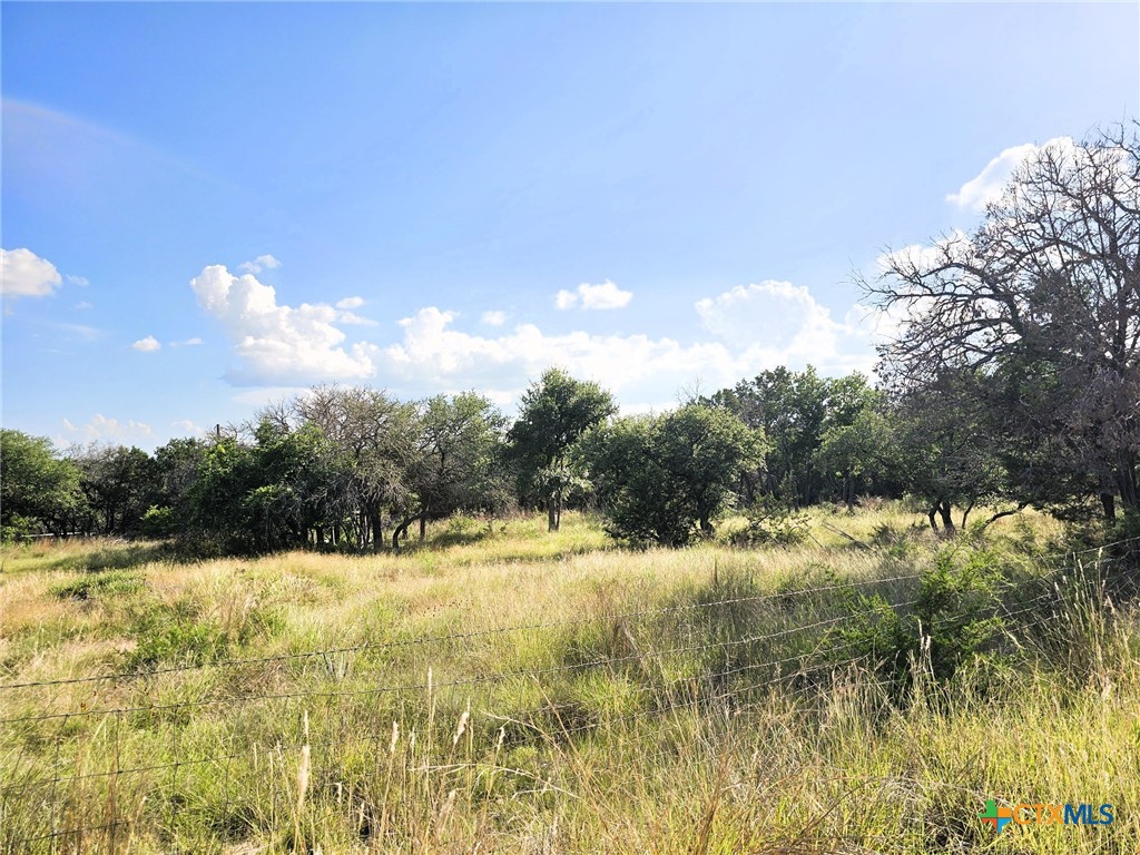 100 Reavis Drive Kempner, TX 76539 - Photo 28 of 33