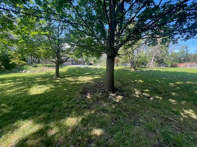 a view of a garden with a tree