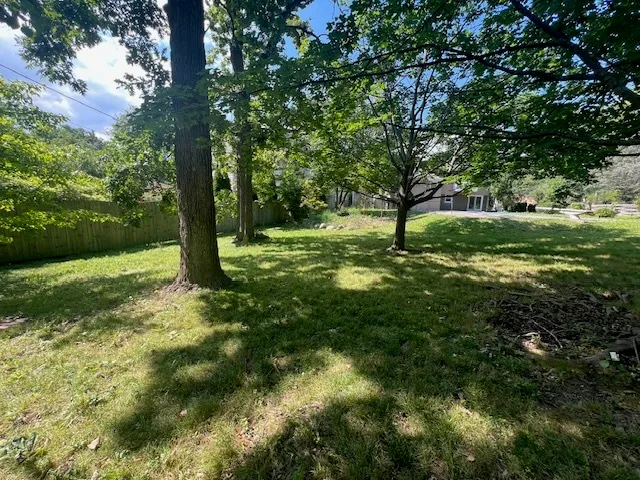 a big yard with lots of green space and trees