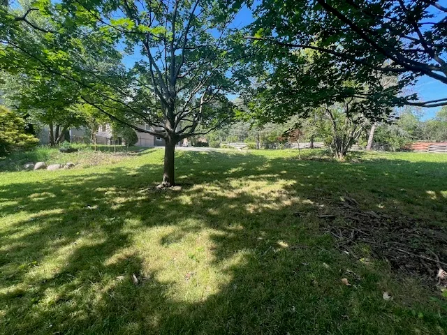 a view of outdoor space and yard