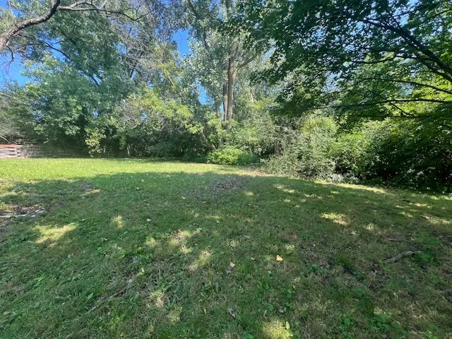 a view of yard with green space