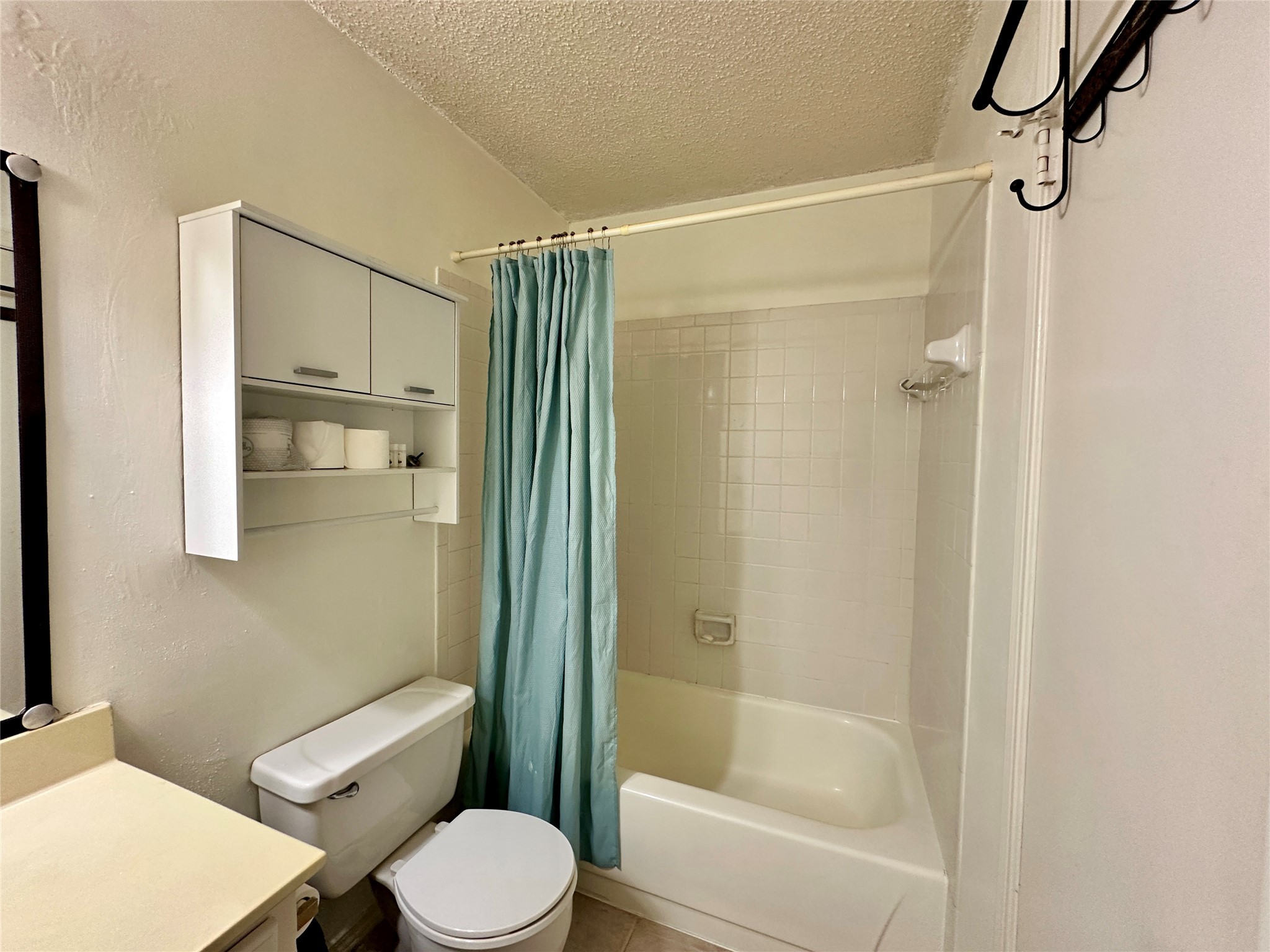 2121 Hepburn Street, Unit 808 Houston, TX 77054 - Photo 12 of 20 Bathroom 1 view 3
