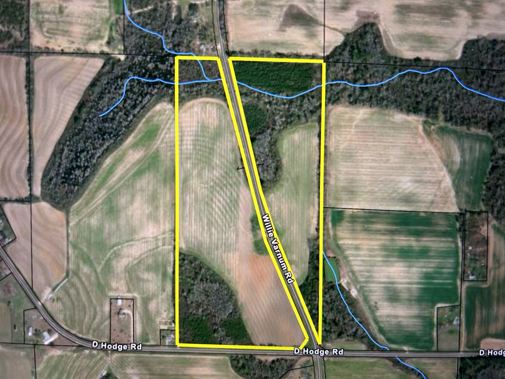 9.481-ac 9.481-ac Road Cottonwood, AL 36320 - Photo 16 of 19