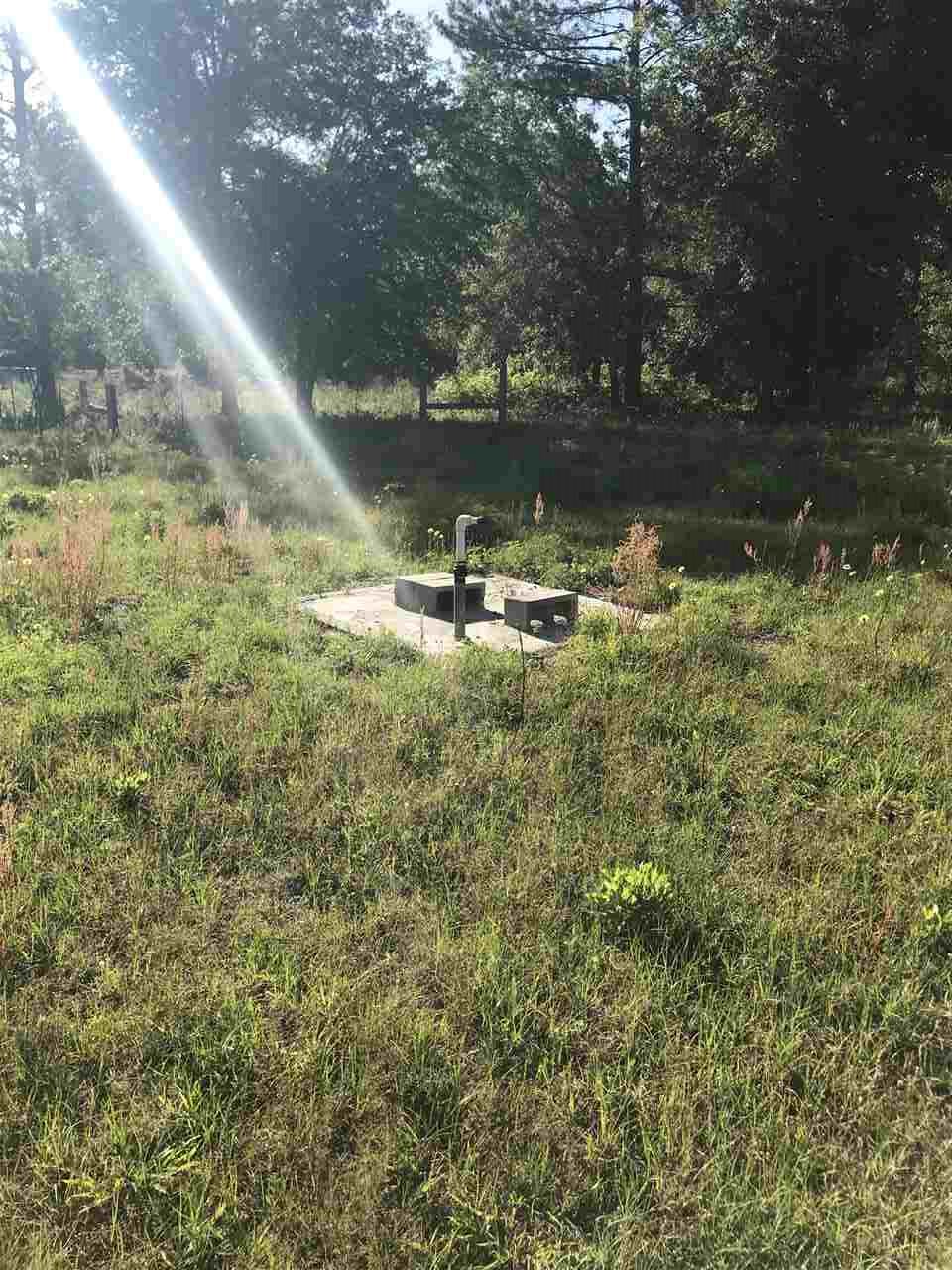 3501 San Pedro Road Perry, FL 32347 - Photo 1 of 9