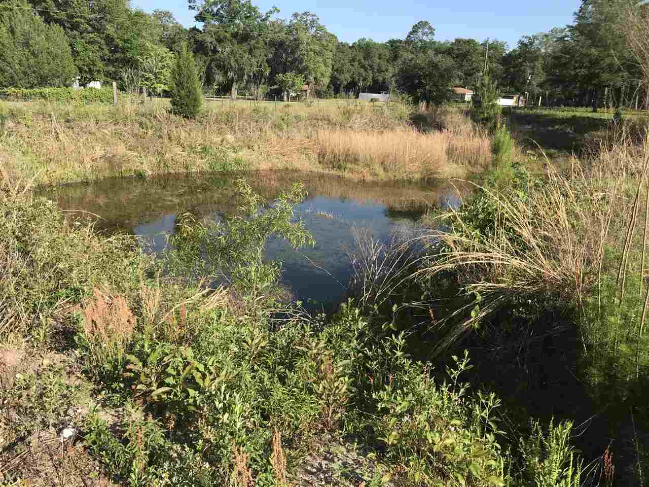 3501 San Pedro Road Perry, FL 32347 - Photo 3 of 9