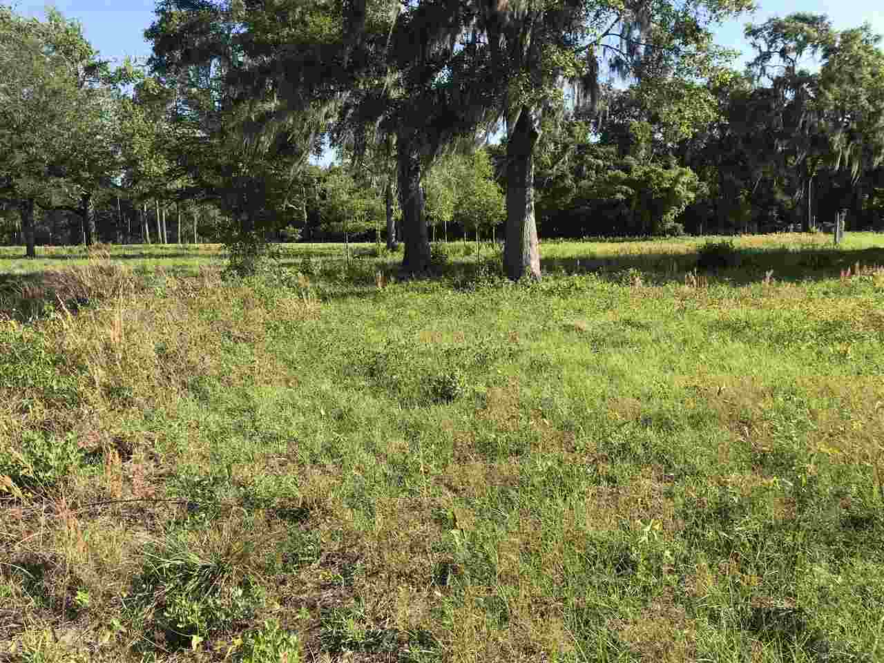 3501 San Pedro Road Perry, FL 32347 - Photo 6 of 9