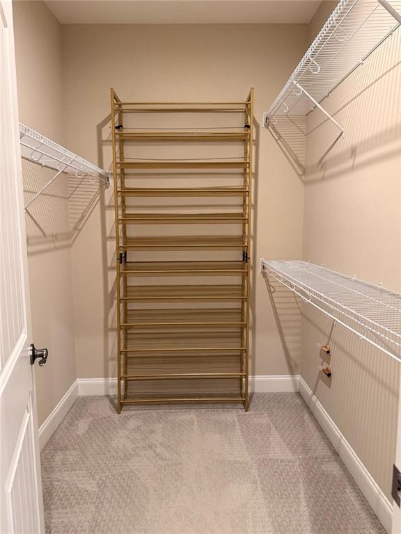 8040 Scenic Ridge Way Ball Ground, GA 30107 - Photo 20 of 35 a view of closet area