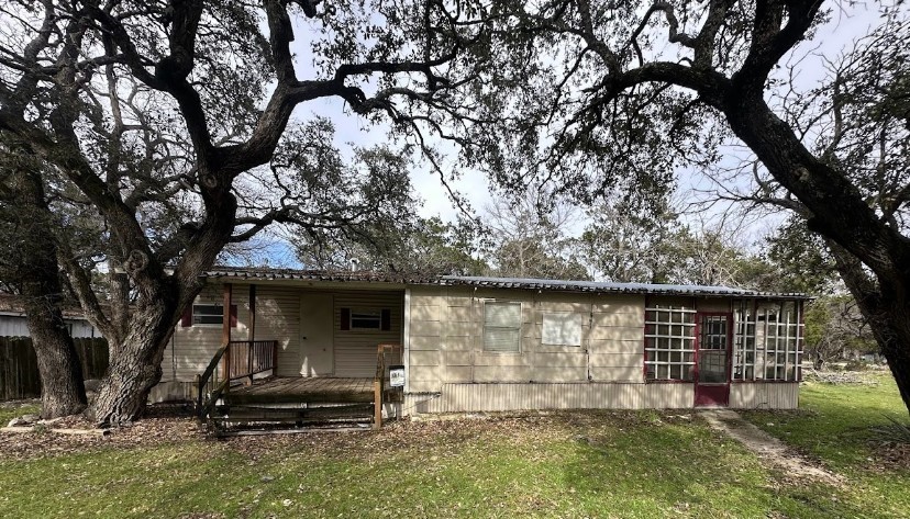 a view of backyard with a large tree