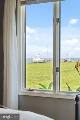 a view of a garden with a tree