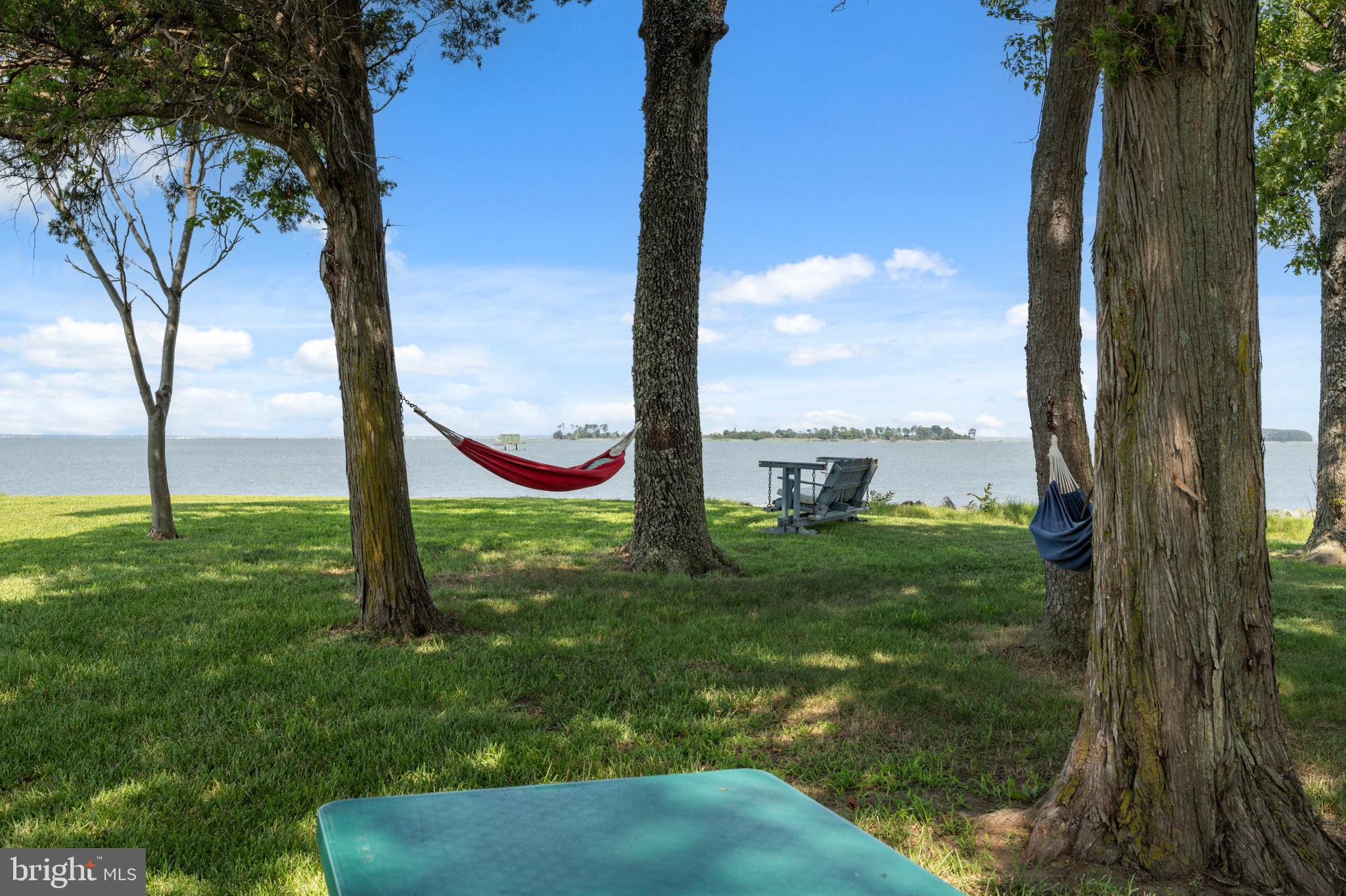 2554 Hoopers Island Road Fishing Creek, MD 21634 - Photo 62 of 85 Backyard Picnic Table | Hammocks