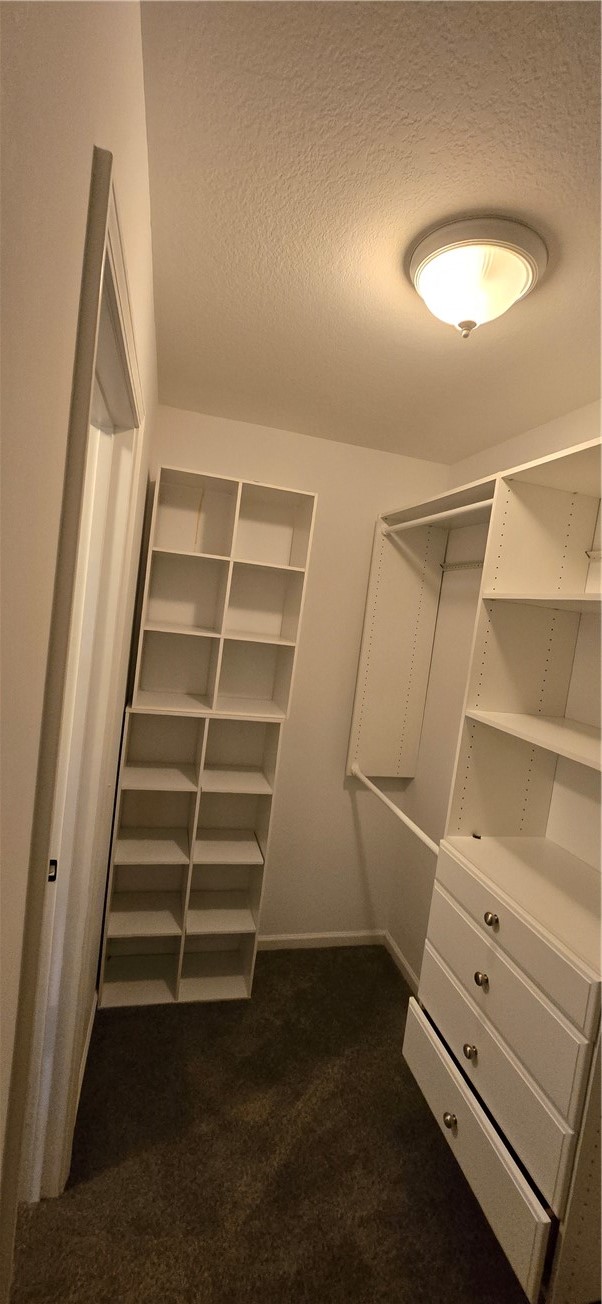 14 Turnberry Road Horseheads, NY 14845 - Photo 16 of 21 master closet