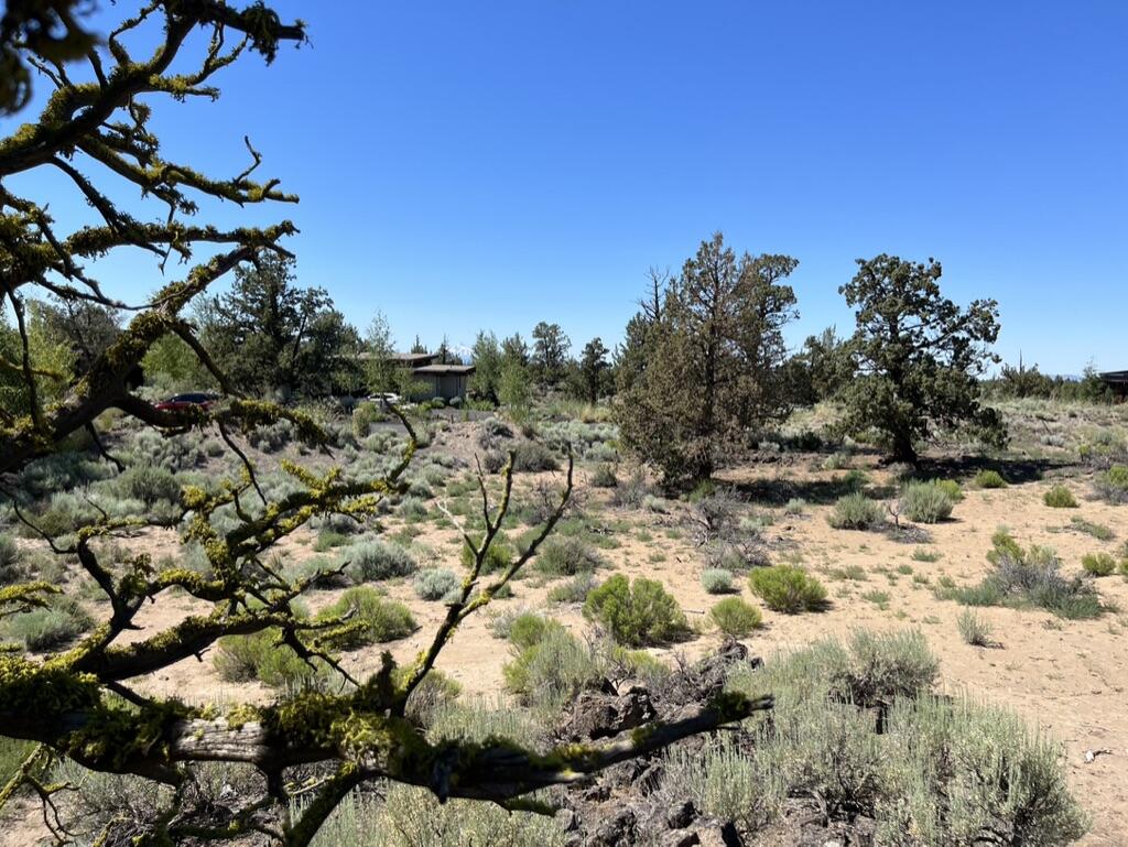 22957 Ghost Tree Lane, Unit 333 Bend, OR 97701 - Photo 11 of 21 from the Ghost tree looking West