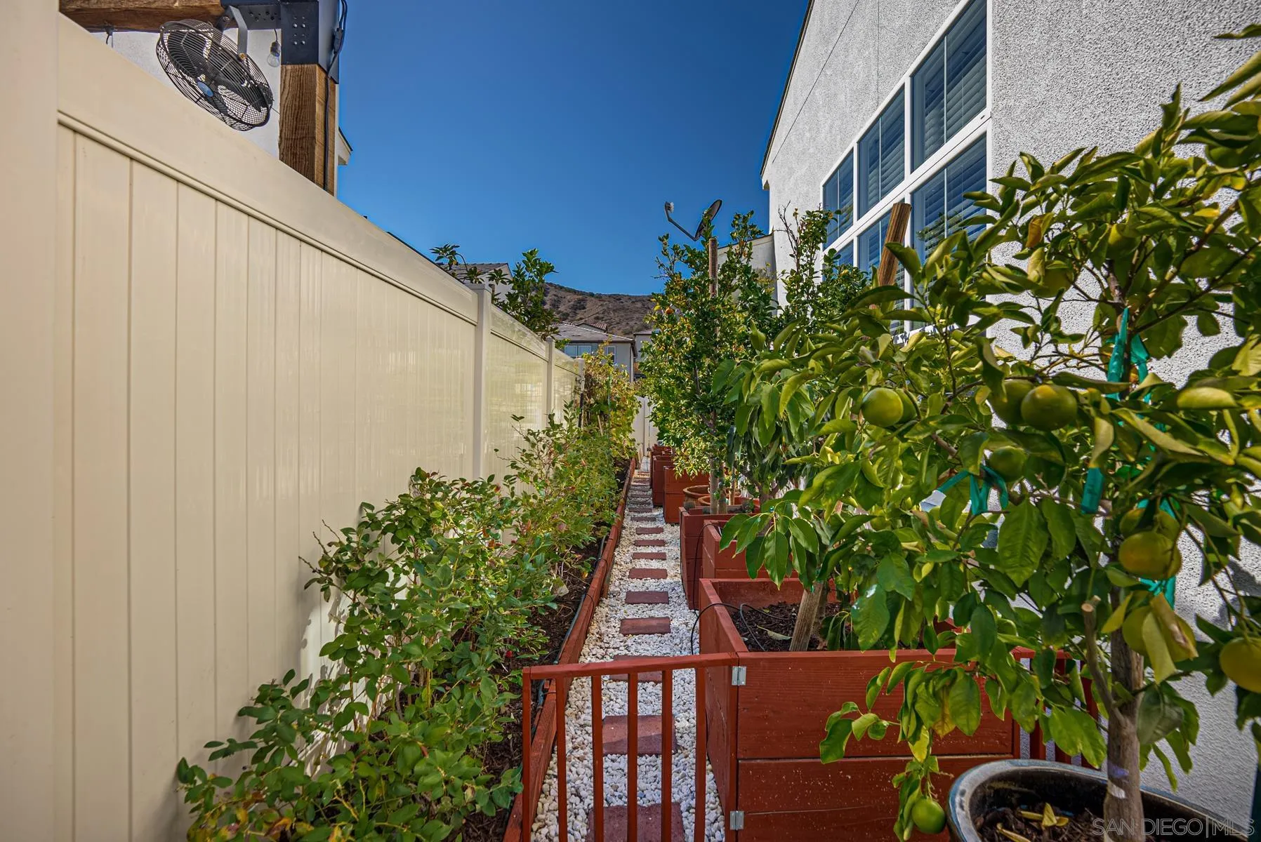 8855 Weston Road Santee, CA 92071 - Photo 26 of 36 a view of a street with plants and large trees