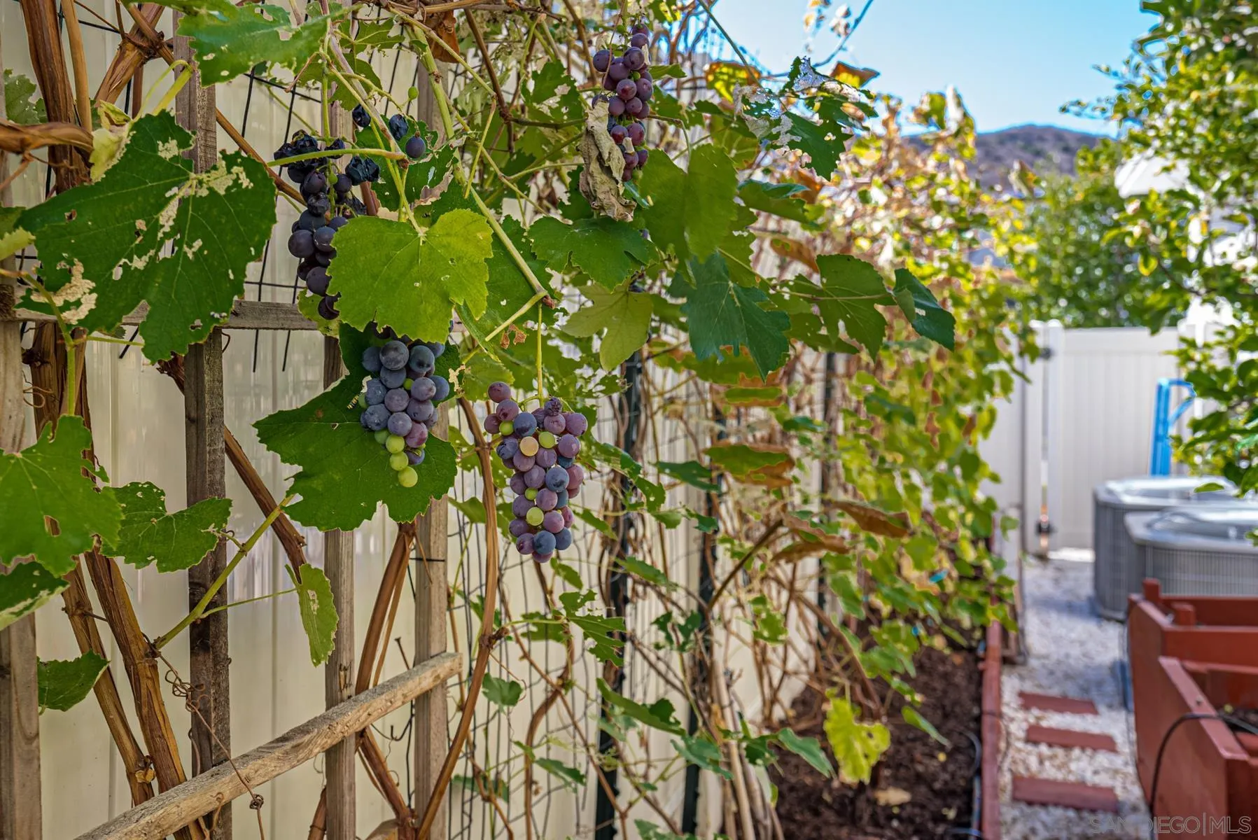 8855 Weston Road Santee, CA 92071 - Photo 27 of 36 a backyard of a house with lots of green space
