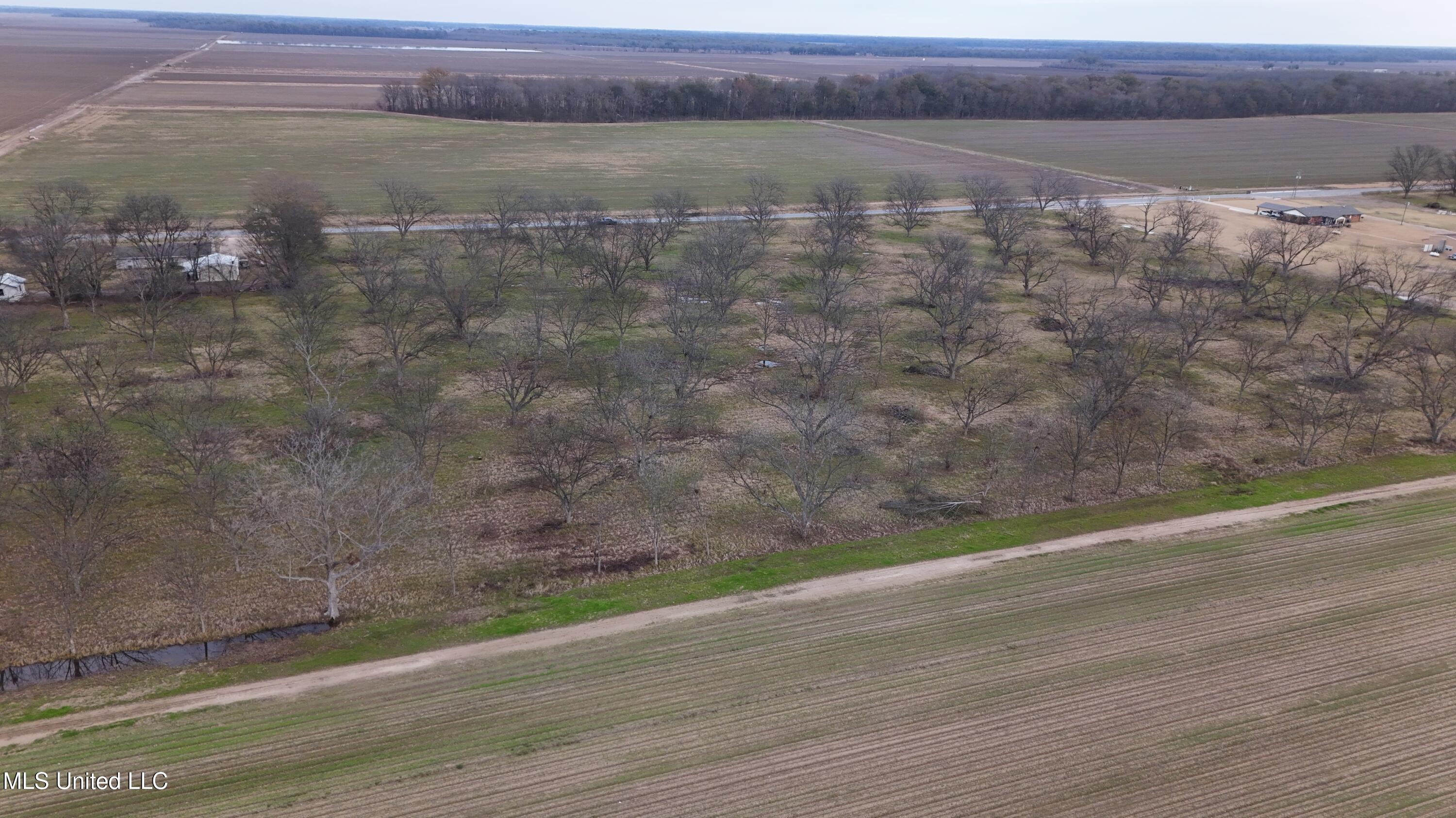Interstate Road Shaw, MS 38773 - Photo 6 of 14 DJI_20251203153455_0125_D