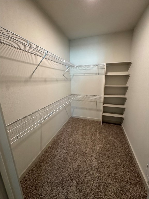 6000 Jones Road, Unit 4207 Bryan, TX 77807 - Photo 12 of 20 a view of an empty walk in closet