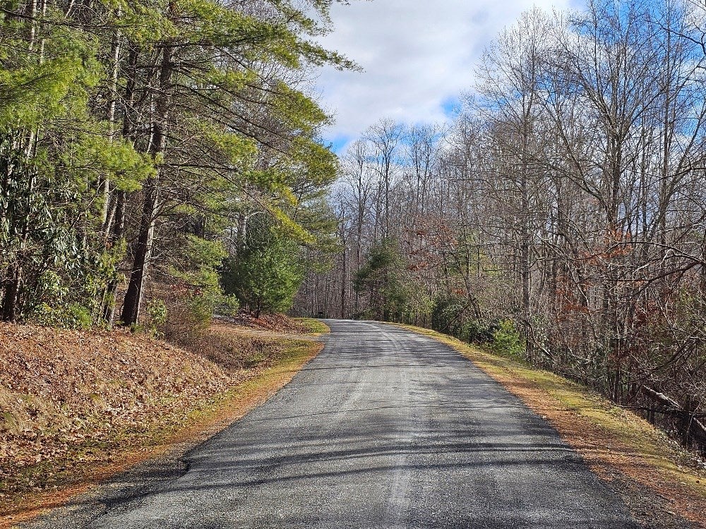 Tbd Birchtree Road Hillsville, VA 24343 - Photo 3 of 15 Gallery Image 3