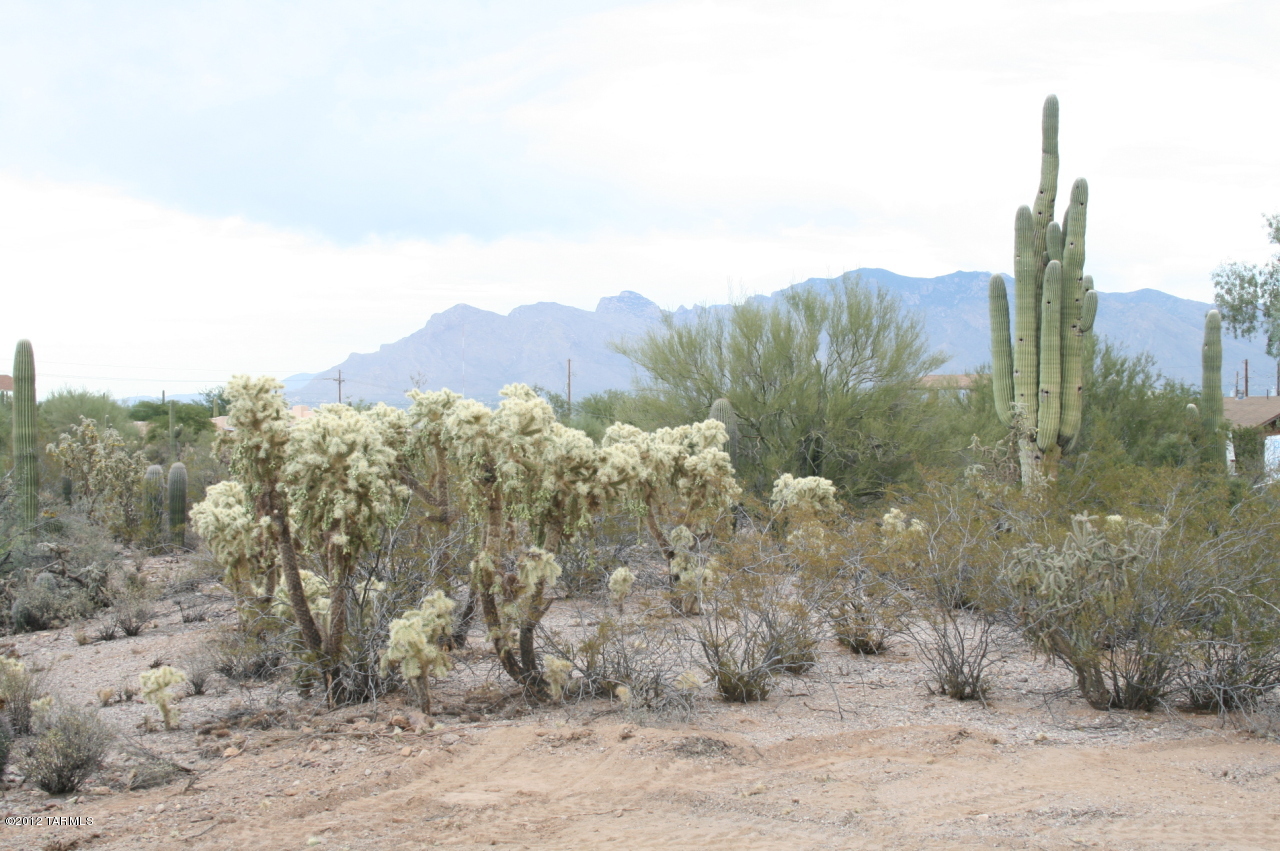 0 West Morgan Road Tucson, AZ 85745 - Photo 8 of 10