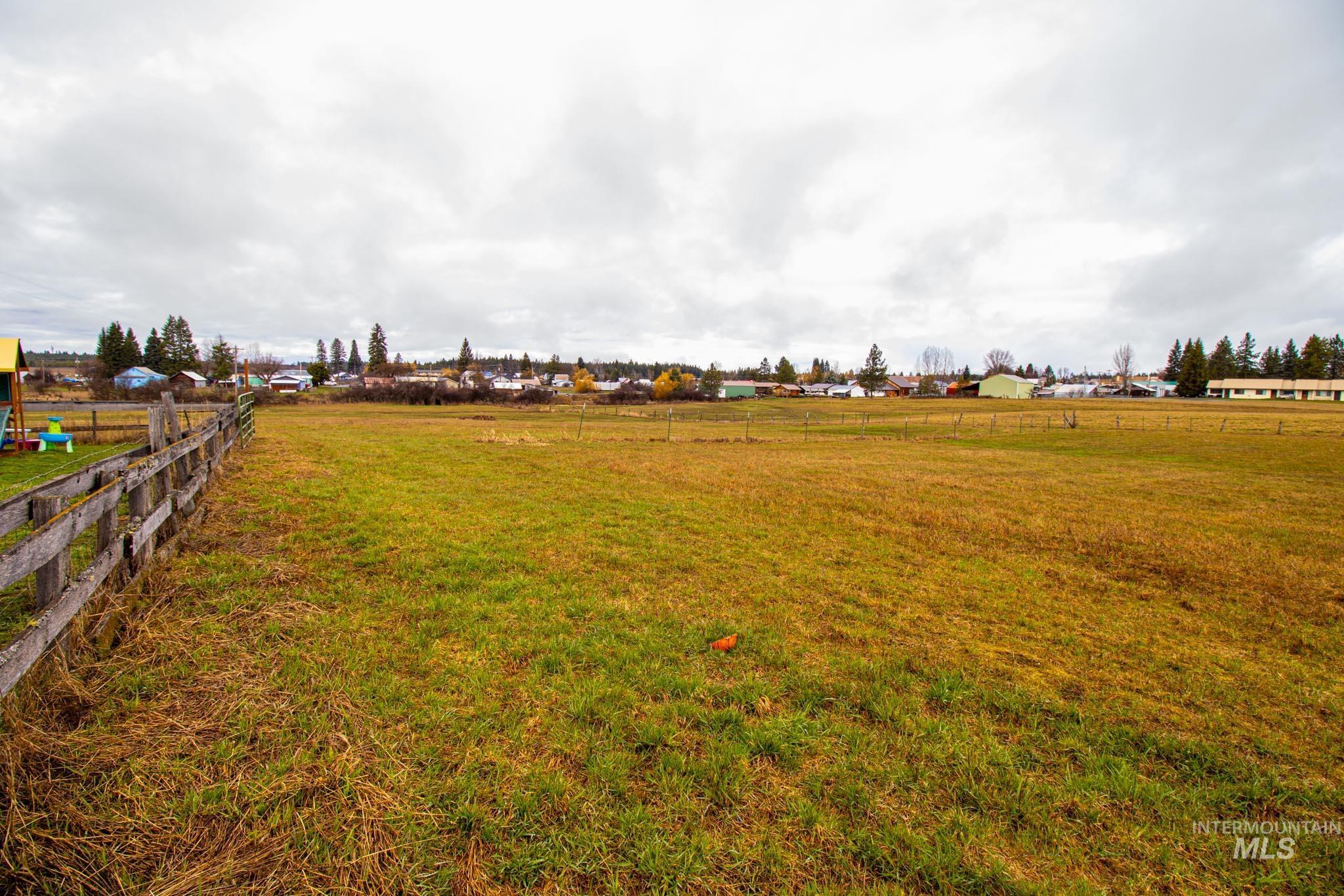 272 Cemetery Road Weippe, ID 83553 - Photo 42 of 43 View of yard