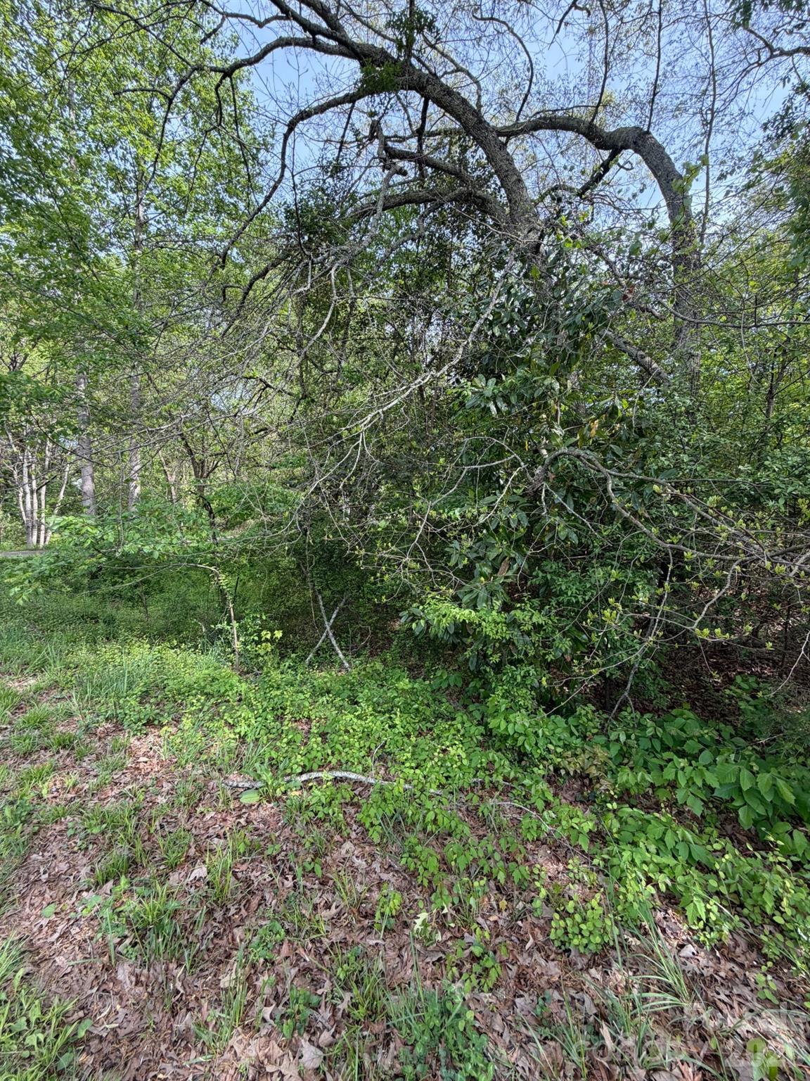 125 Sharon Road York, SC 29745 - Photo 2 of 5 Gallery Image 2