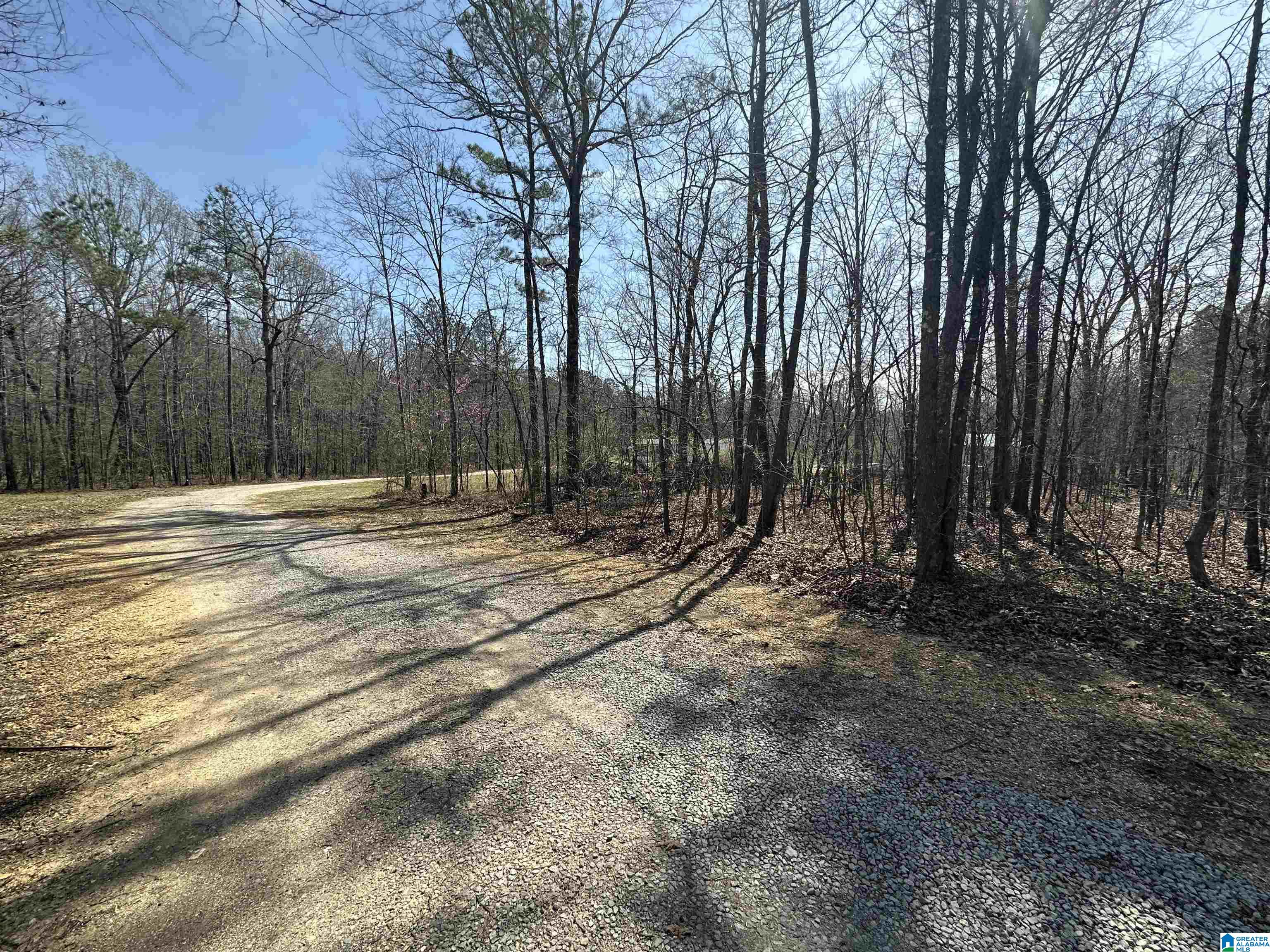 2560 Slasham Road Ashville, AL 35953 - Photo 47 of 77