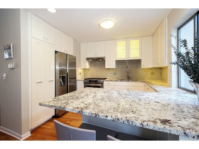 1900 South Federal Street, Unit B Chicago, IL 60616 - Photo 3 of 10 a kitchen with stainless steel appliances granite countertop a sink refrigerator and cabinets