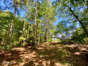 $237,000 | 1091 Moaks Creek Road, Summit, MS 39666