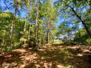 1091 Moaks Creek Road Summit, MS 39666 - Photo 12 of 37 20250724232255339749000000