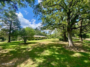 1091 Moaks Creek Road Summit, MS 39666 - Photo 13 of 37 20250724232252200692000000