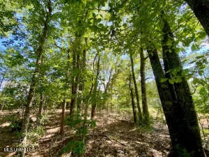 $237,000 | 1091 Moaks Creek Road, Summit, MS 39666