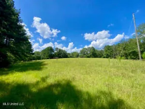 $237,000 | 1091 Moaks Creek Road, Summit, MS 39666