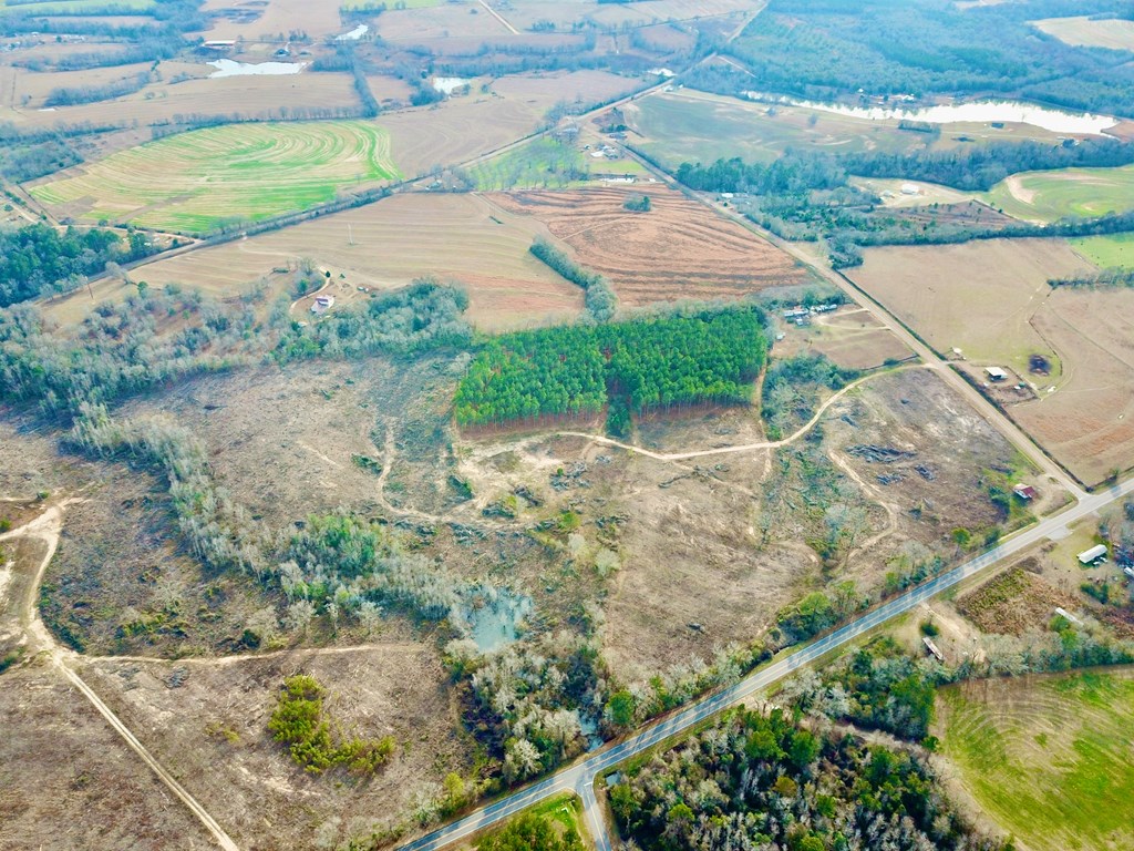 20-acres Hudson Road Columbia, AL 36319 - Photo 19 of 40