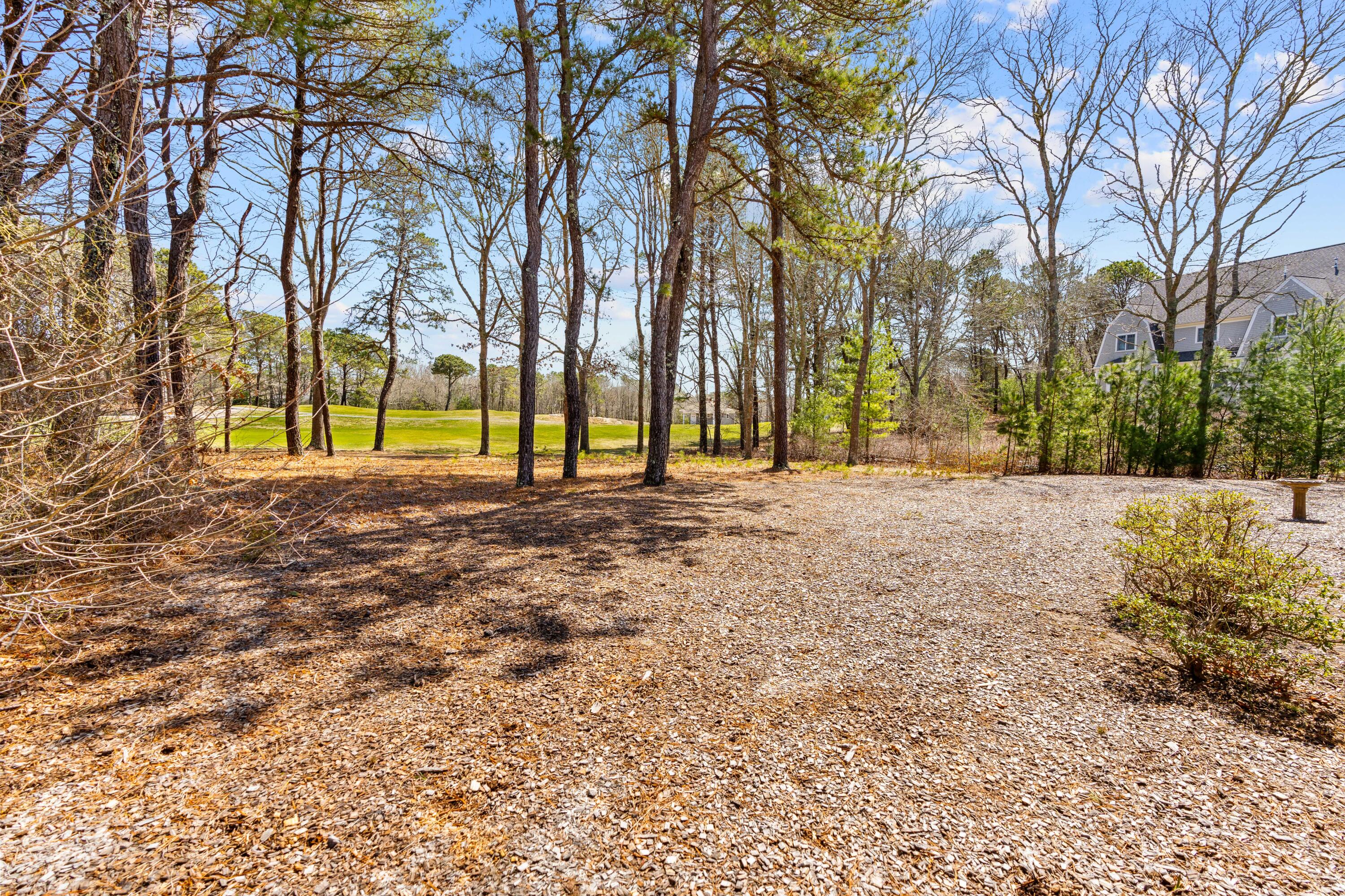 51 Walton Heath Way Mashpee, MA 02649 - Photo 29 of 35 a view of large trees with a big yard