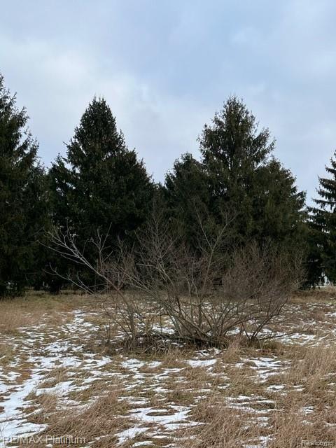 V/l Oak Grove Road Howell, MI 48855 - Photo 19 of 24