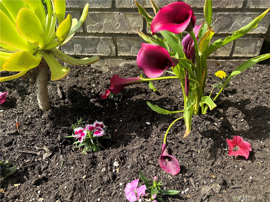 33722 Abbey Road Temecula, CA 92592 - Photo 43 of 44