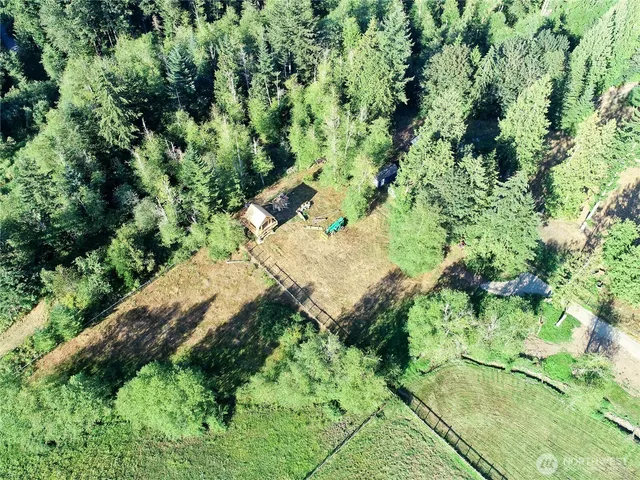 an aerial view of a house with a yard and large trees