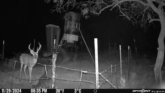 a picture of a glass door in the backyard