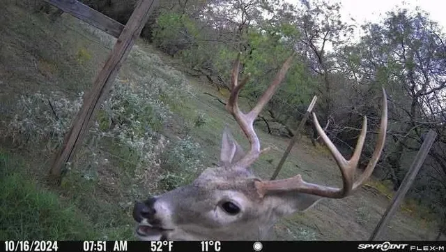 $725,000 | Tbd Tbd Hcr-2115, Whitney, TX 76692