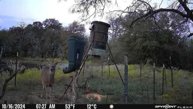 $725,000 | Tbd Tbd Hcr-2115, Whitney, TX 76692