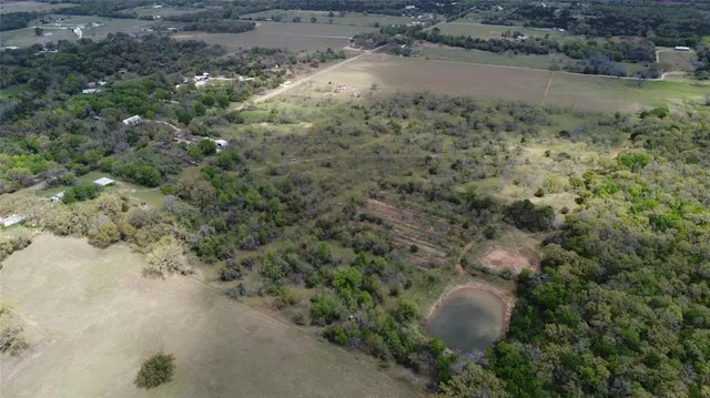 a view of a dry yard with large trees