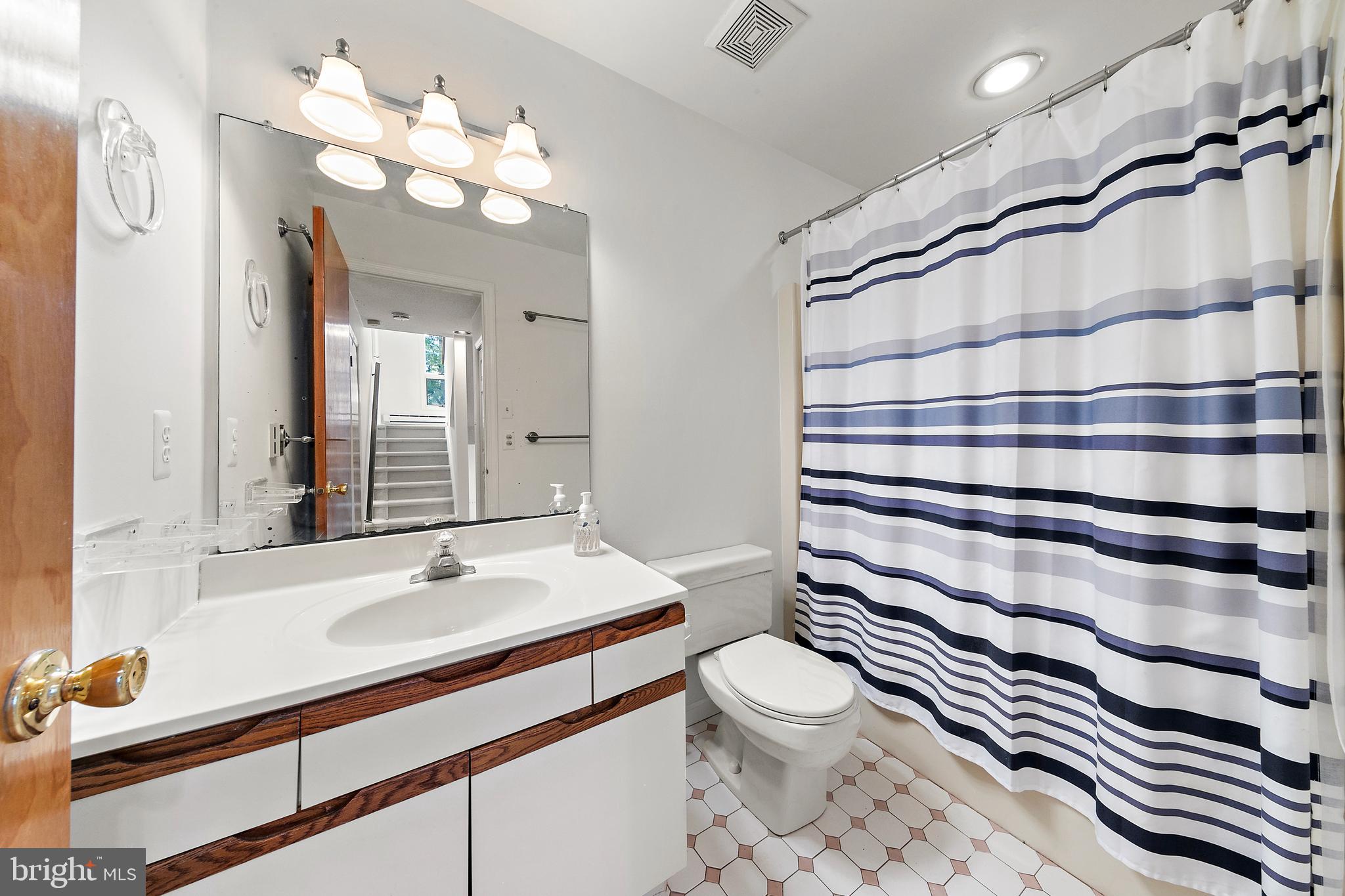 20 East 8th Street Barnegat Light, NJ 08006 - Photo 46 of 80 a bathroom with a sink a toilet a mirror and shower curtain