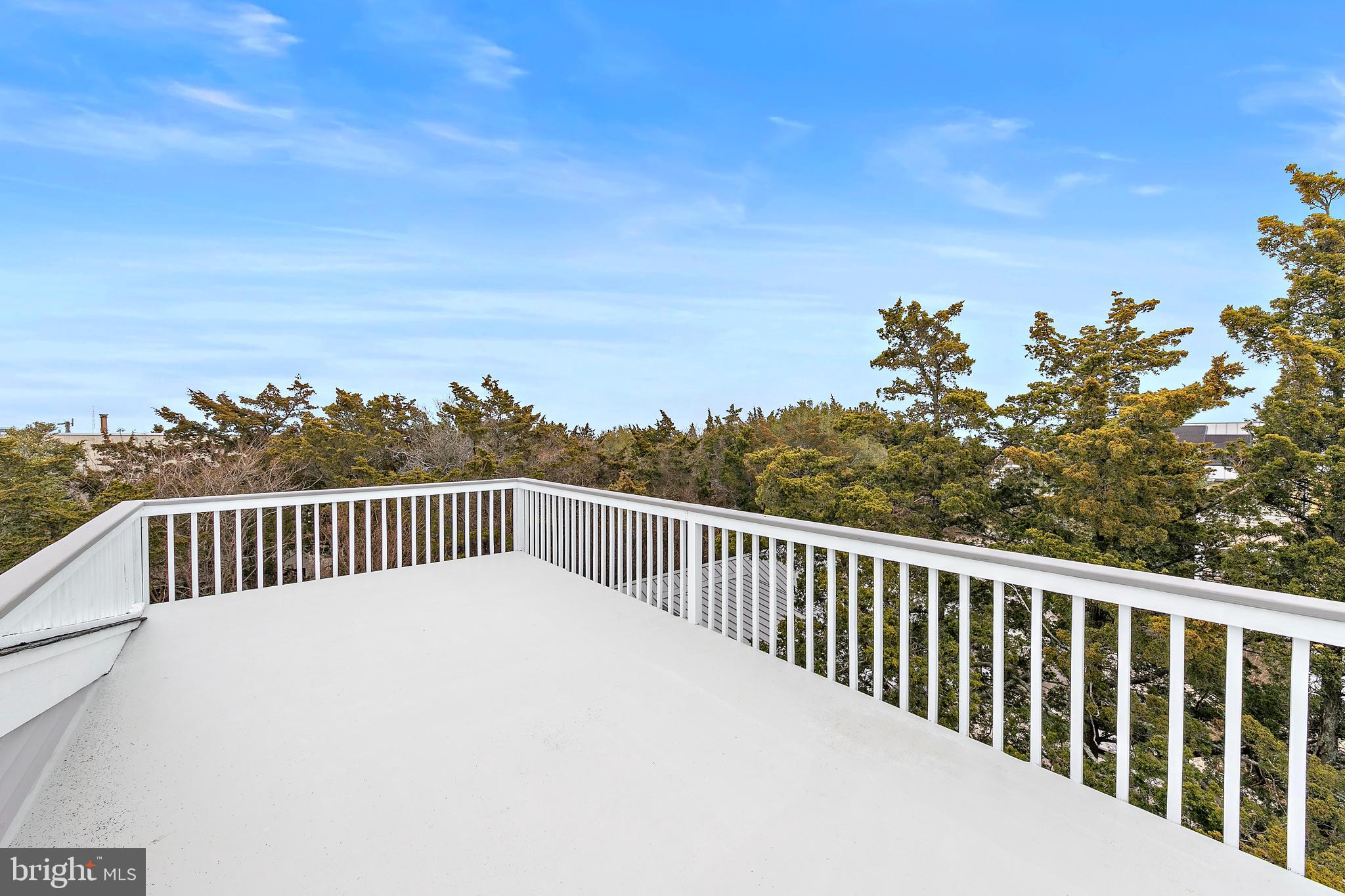 20 East 8th Street Barnegat Light, NJ 08006 - Photo 60 of 80 Rooftop deck