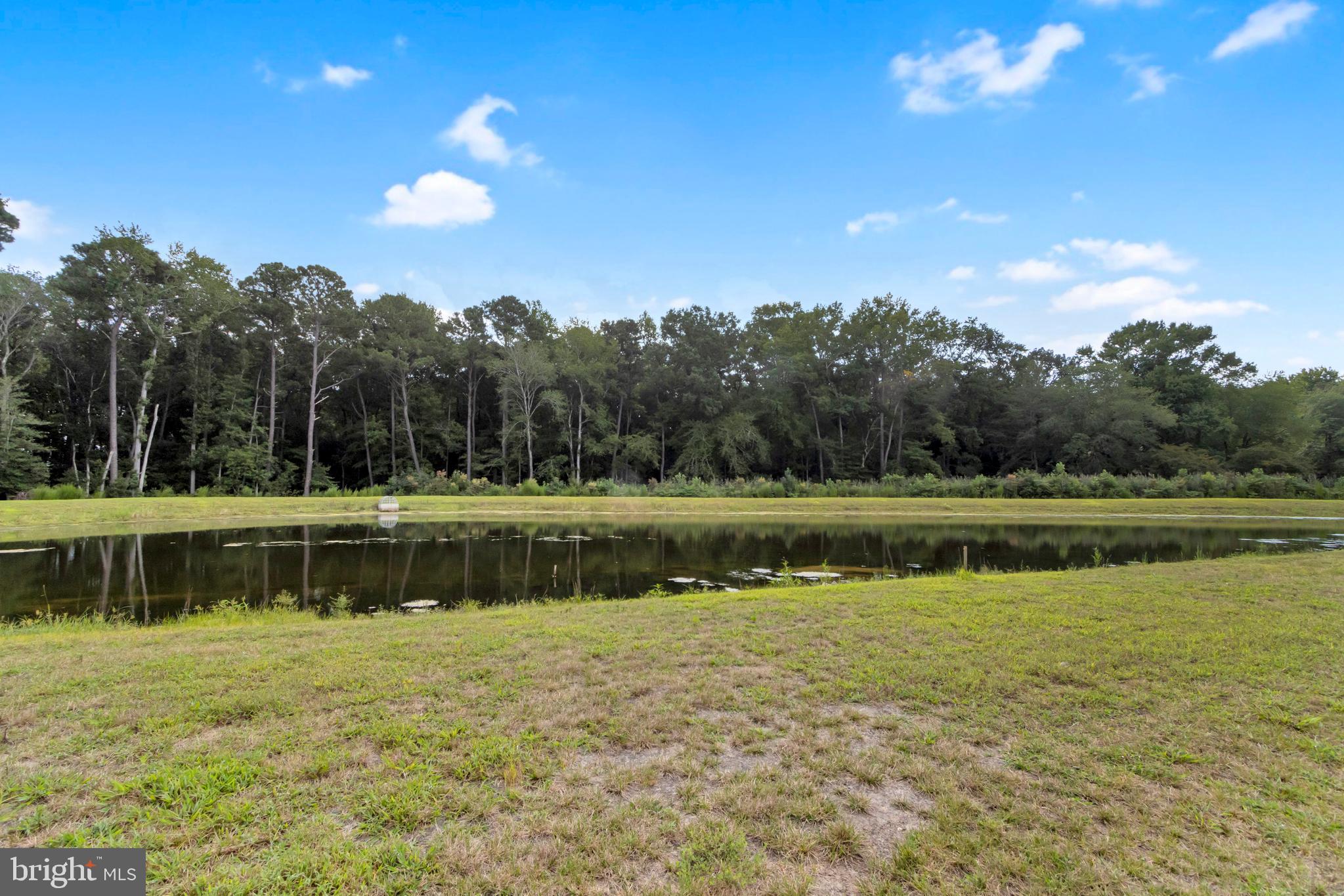 31111 Christys Way, Unit TH20 Frankford, DE 19945 - Photo 69 of 75 Large community pond