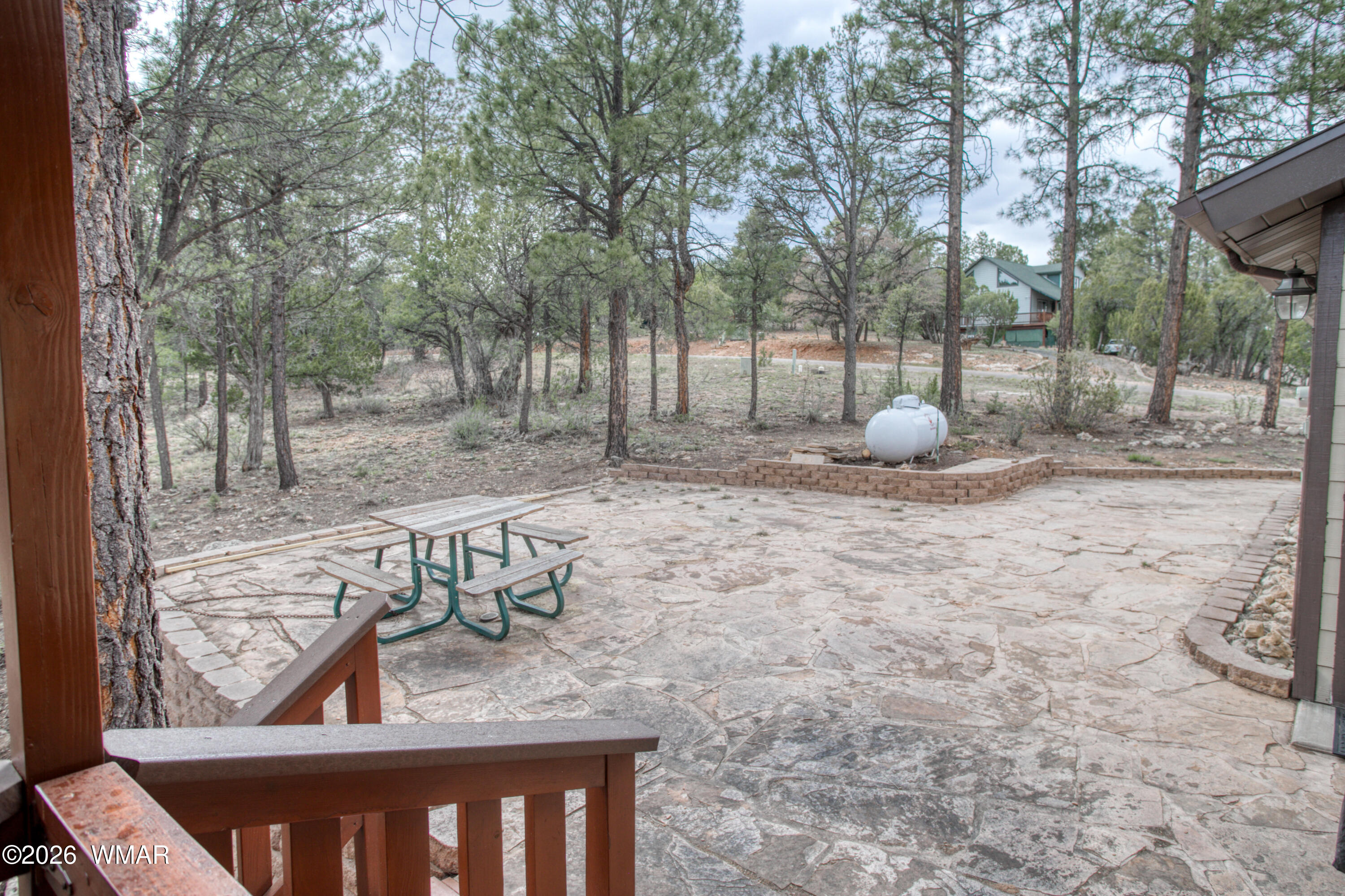 2881 Lodgepole Road Overgaard, AZ 85933 - Photo 3 of 46 PaxmanPh_untitled-9443