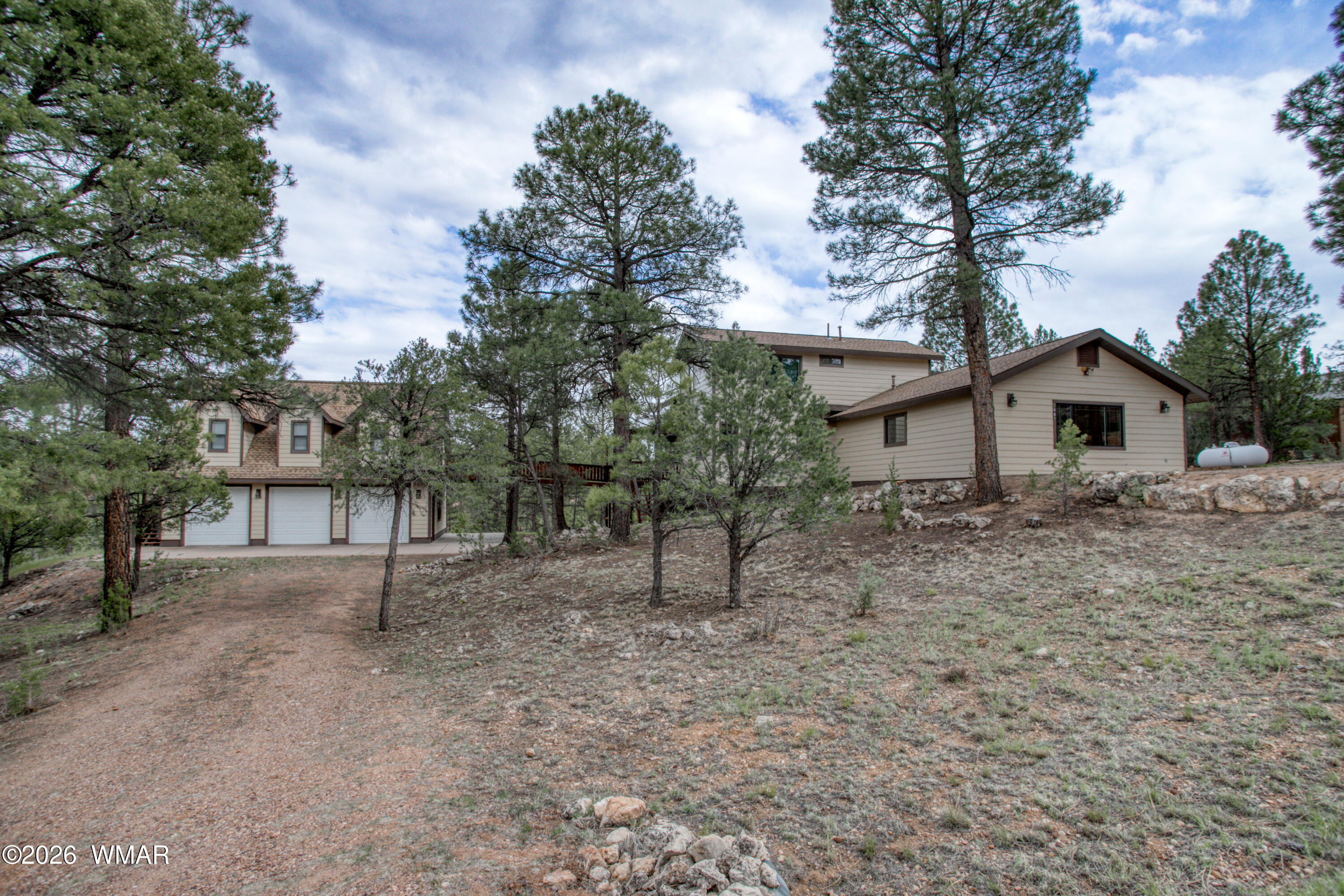 2881 Lodgepole Road Overgaard, AZ 85933 - Photo 4 of 46 PaxmanPh_untitled-9455